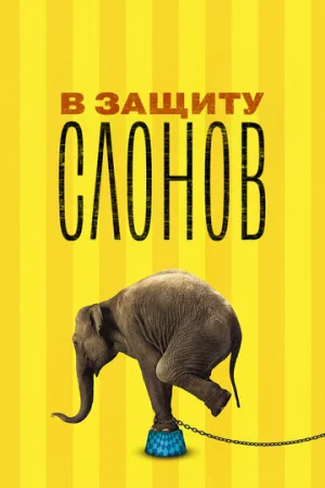 В защиту слонов  онлайн