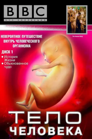 BBC: Тело человека 1 сезон онлайн