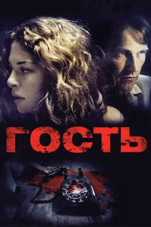 Гость  онлайн
